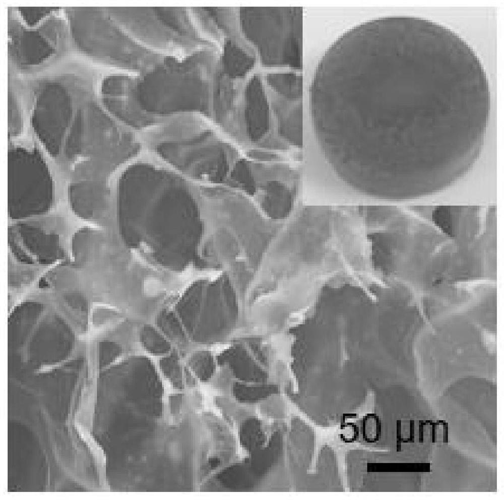 Preparation method of carbon aerogel containing double metal sites and application of aluminum-air battery