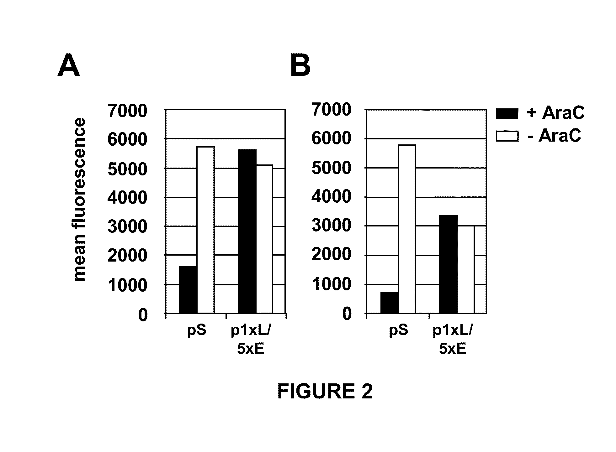 Optimized early-late promoter combined with repeated vaccination favors cytotoxic T cell response against recombinant antigen in MVA vaccines