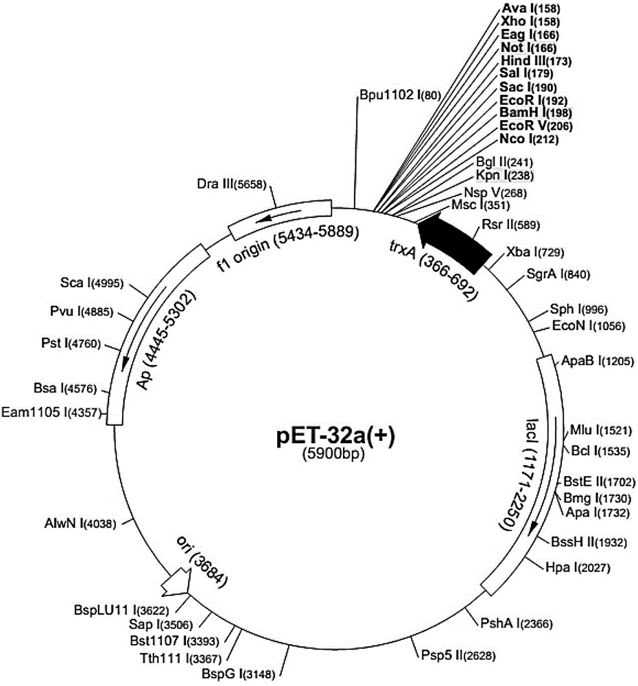 PD-1 gene armored RNA standard substance and applications thereof