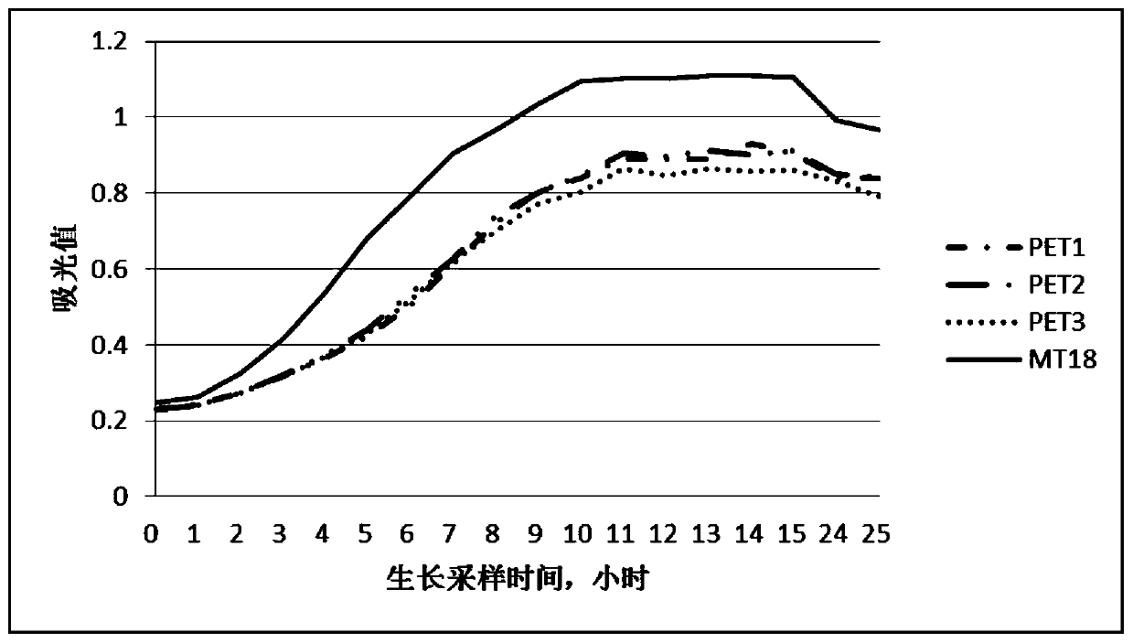 Metallothionein gene MT18, metallothionein encoded by metallothionein gene MT18, and expression and application thereof