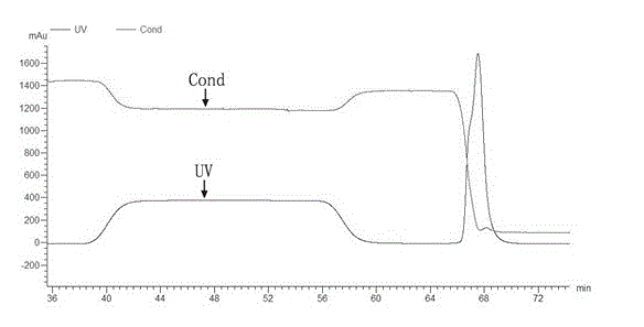 B-cell epitope peptide of heart fatty acid binding protein (H-FABP), antibody and applications thereof