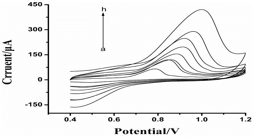 Novel method for detecting promethazine hydrochloride