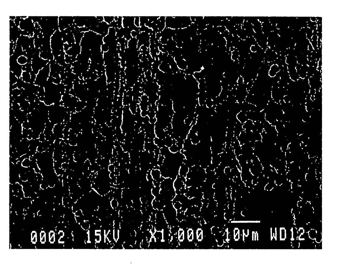 Stainless steel plate, method of manufacturing the same, and rubber-coated stainless steel plate gasket