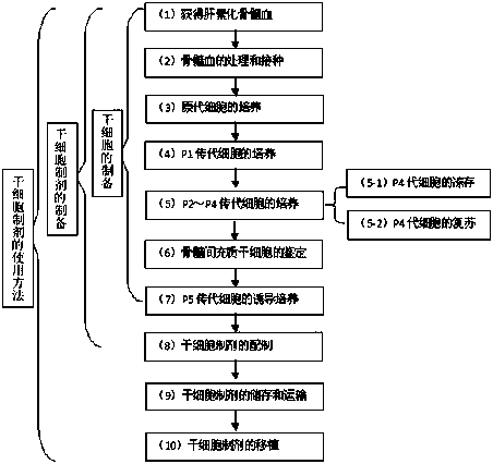 A stem cell preparation for treating retinal degeneration and its application method