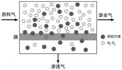 Preparation method of MIL-100 (Fe)/PDMS film