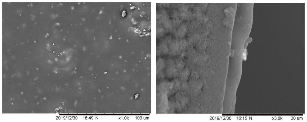 Preparation method of MIL-100 (Fe)/PDMS film