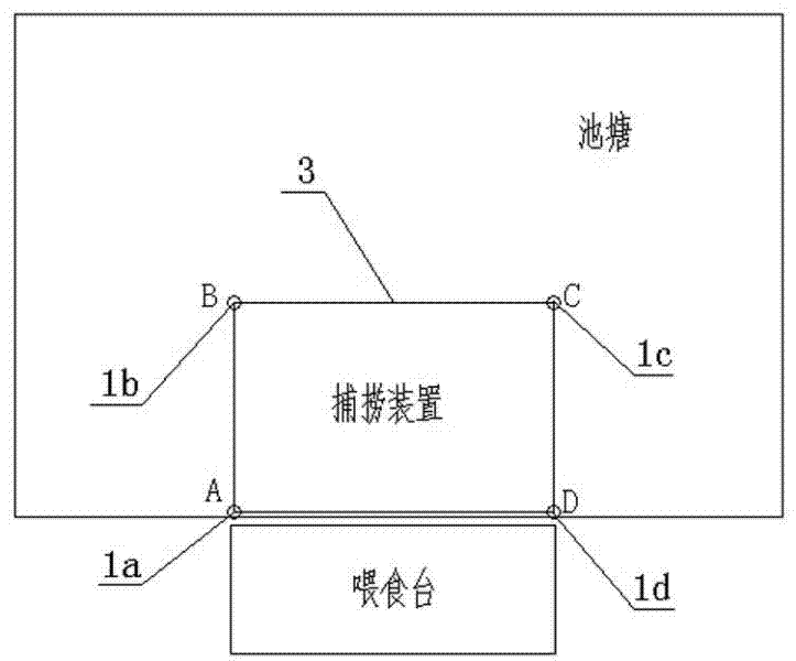 Fishing device for cultured fishes