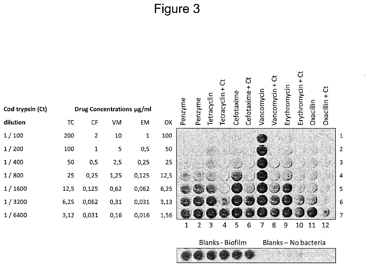 Combination therapies