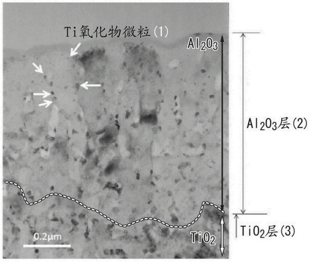 Surface coating cutting tool and manufacturing method thereof