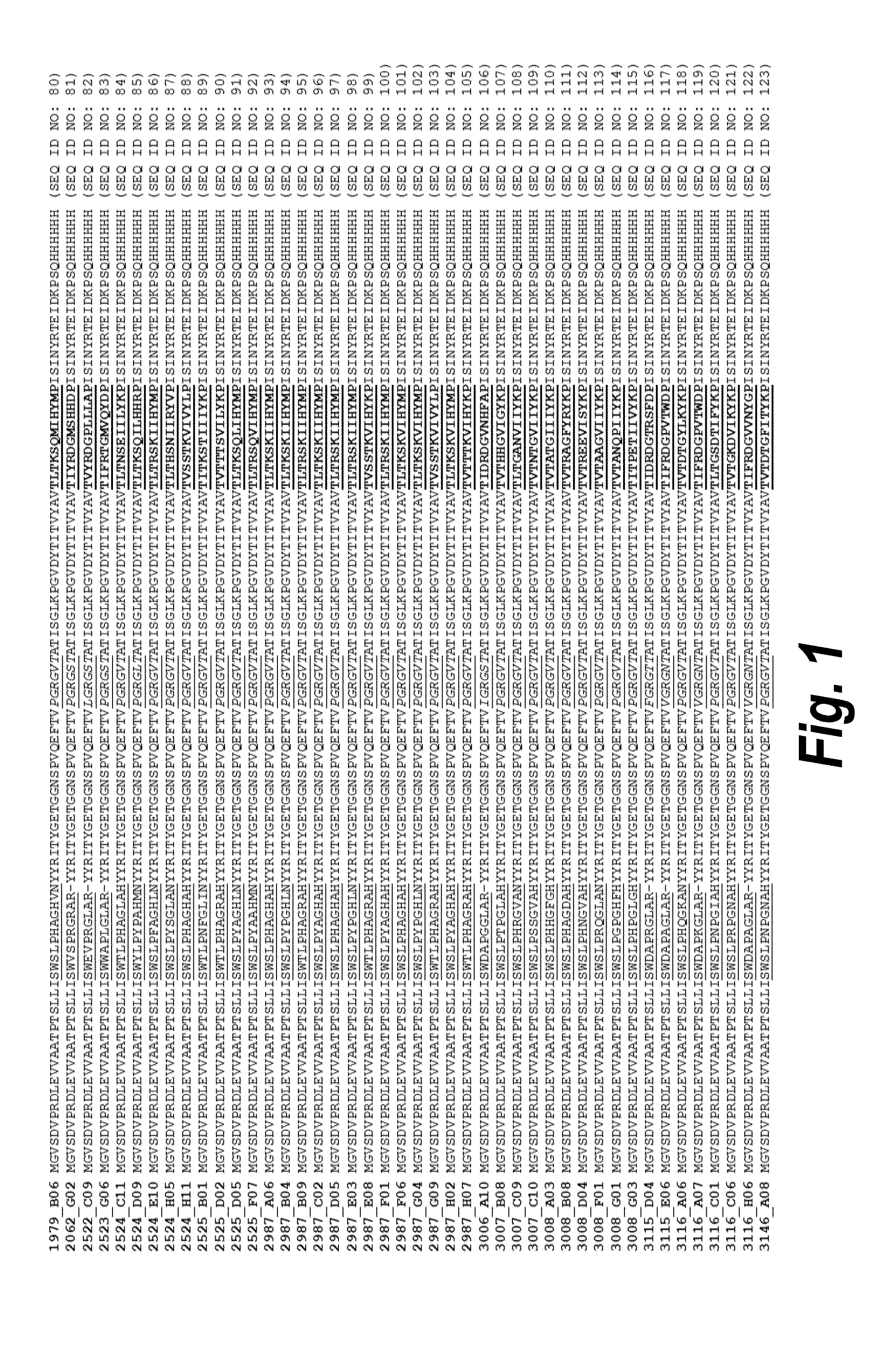 Fibronectin based scaffold domain proteins that bind to myostatin