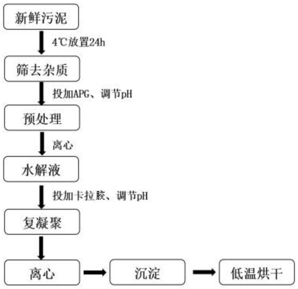 A method for efficient recovery of protein from excess sludge