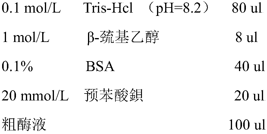 Saccharomyces cerevisiae and application thereof in food fermentation