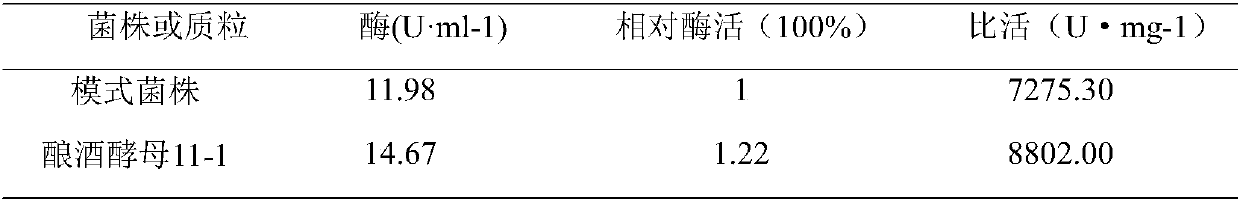 Saccharomyces cerevisiae and application thereof in food fermentation