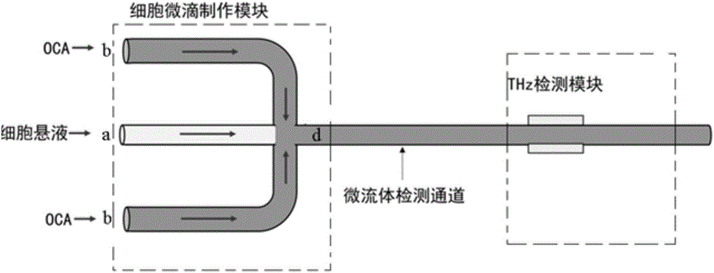 Terahertz flow cytometry sensor for label-free detection of single or small quantity of living cells and detection method of terahertz flow cytometry sensor