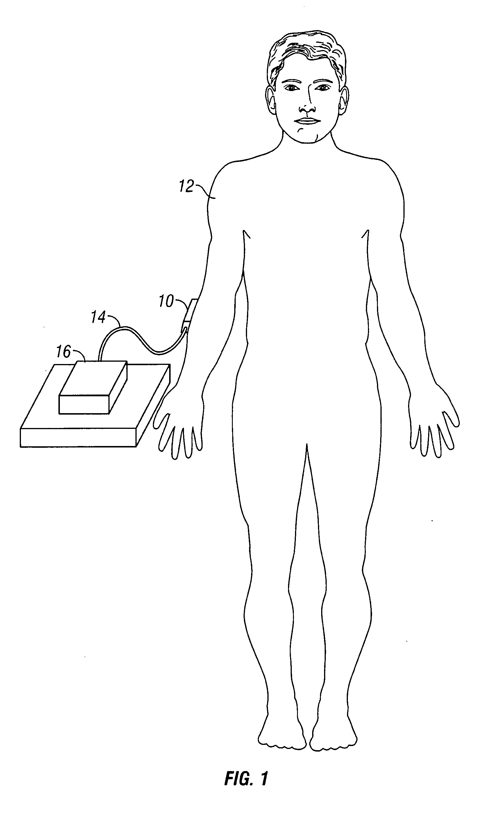 Compact apparatus for noninvasive measurement of glucose through near-infrared spectroscopy