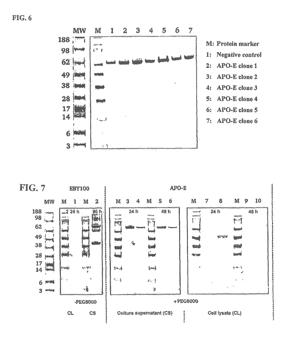 Method of producing secretable antibodies by expression in saccharomyces cerevisiae