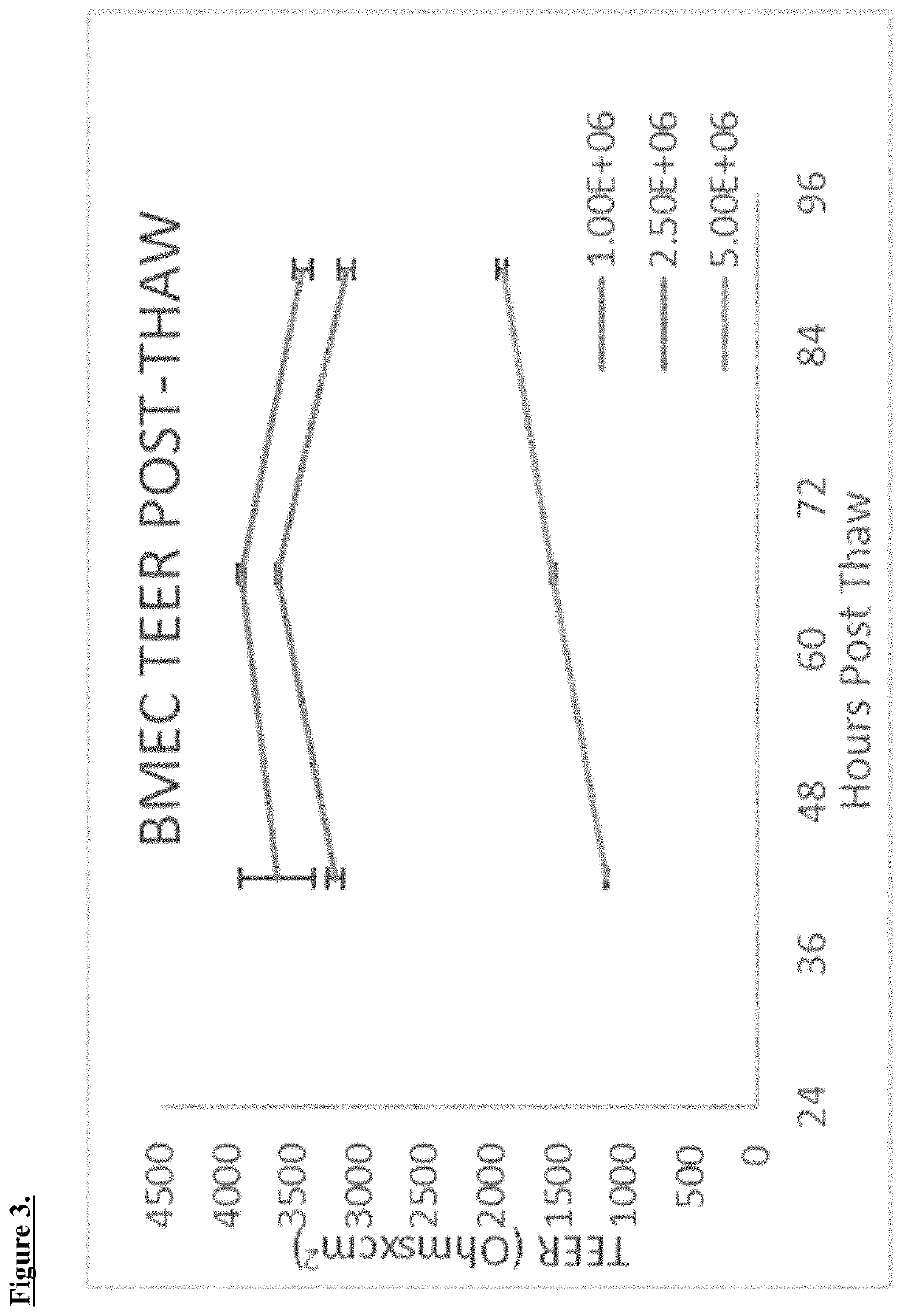 Methods and compositions for cryopreservation of endothelial cells