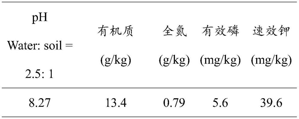 Efficient application method of winter wheat trace element fertilizer and grain trace element nutrition enhancement