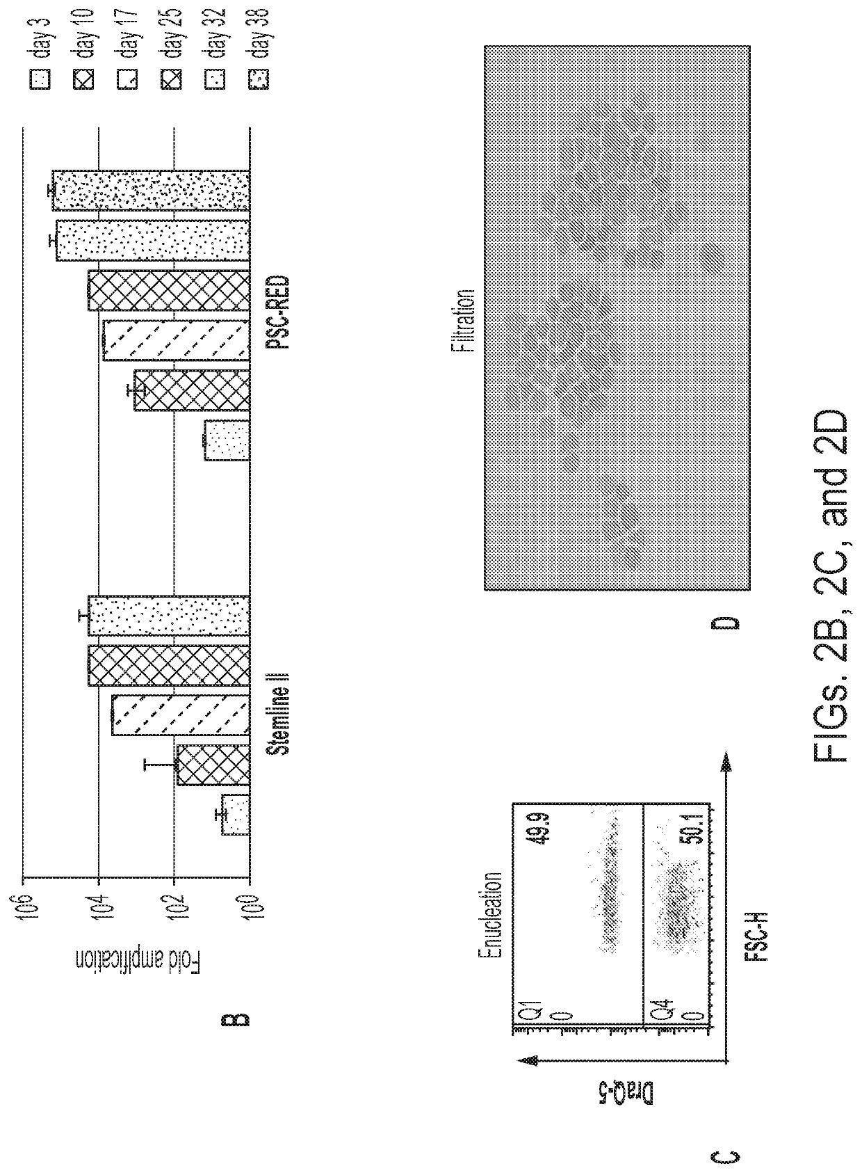 Red blood cells expressing von willebrand factor protease and methods of use thereof