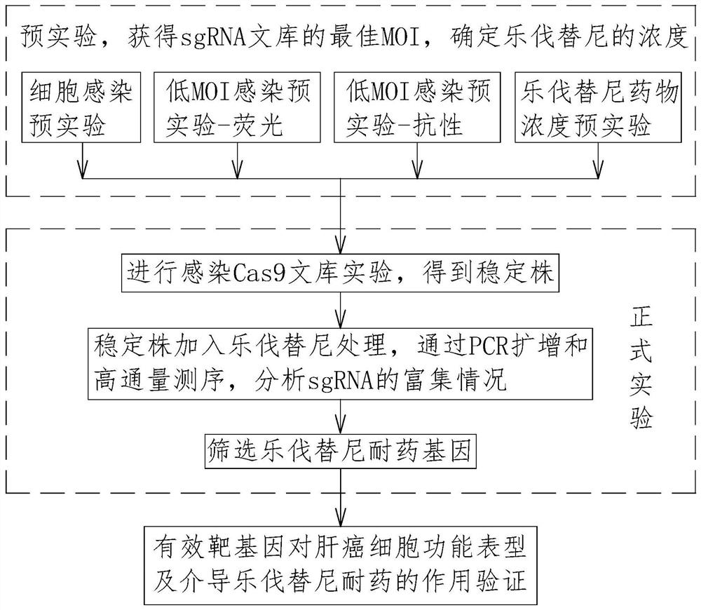 Lenvatinib drug-resistant gene NF1 as well as screening method and application thereof