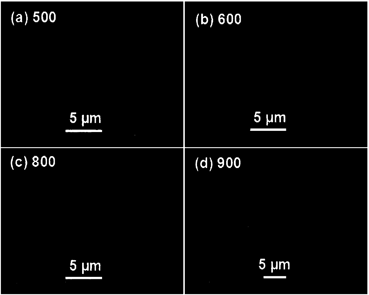 Method for preparing [100] oriented textured barium titanate piezoelectric ceramics