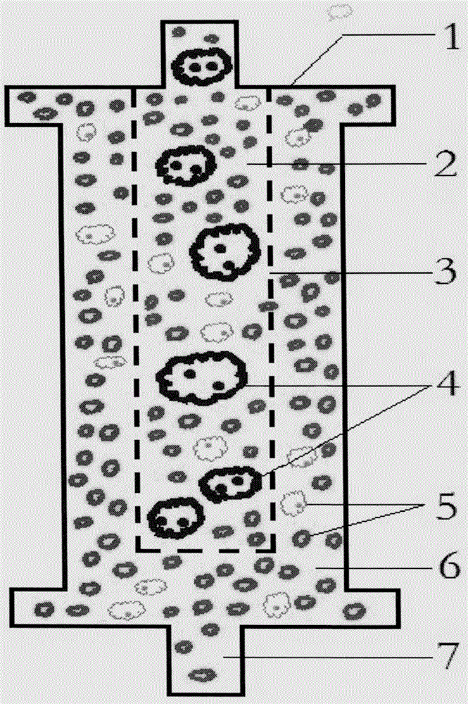 AIDS biological cellular immunotherapy apparatus