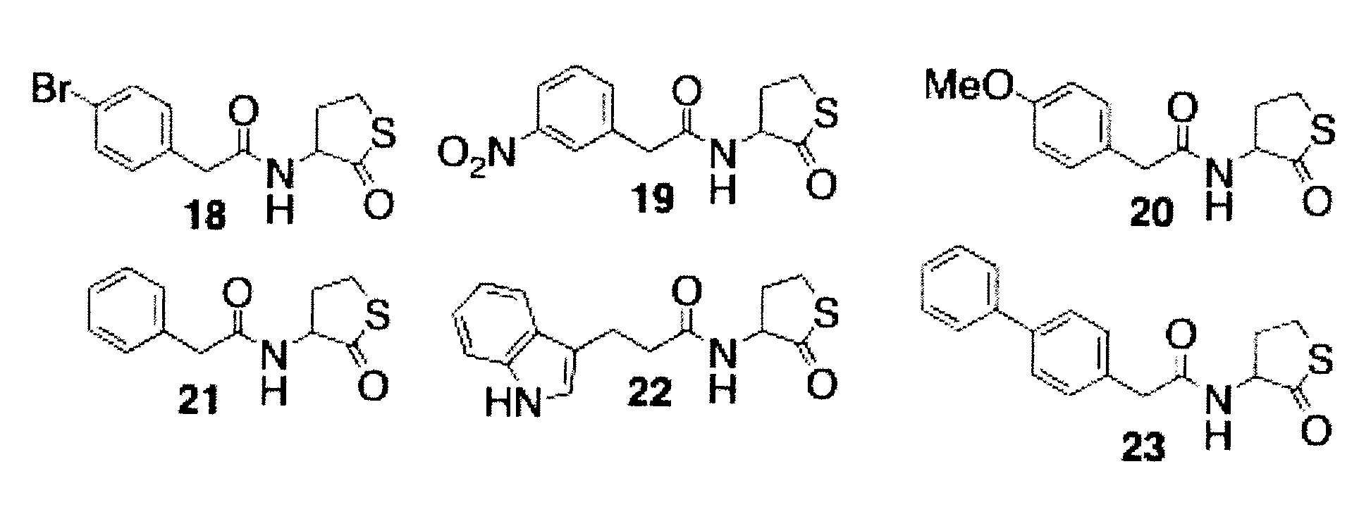 Non-Lactone Carbocyclic and Heterocyclic Antagonists and Agonists of Bacterial Quorum Sensing