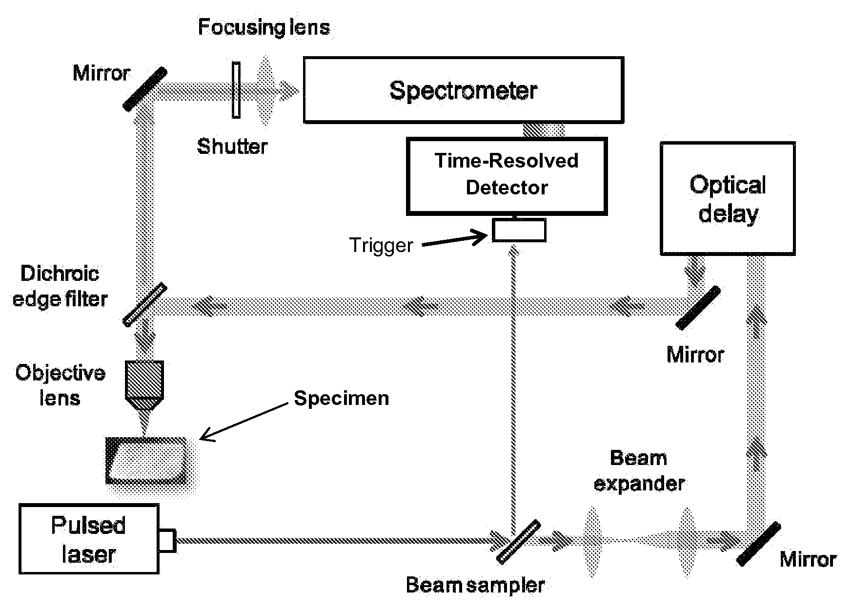 Time resolved laser raman spectroscopy using a single photon avalanche diode array