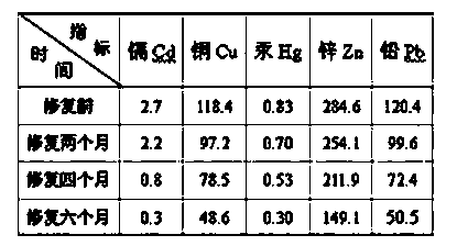 Method for remediating heavy metal polluted soil by comprehensively utilizing biochemical resources