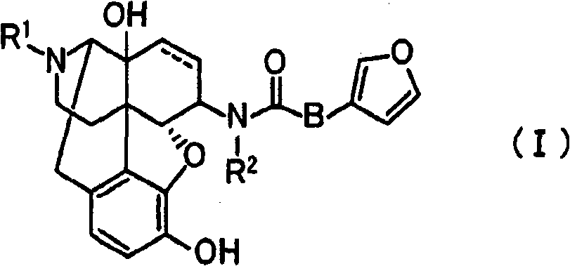 Remedy for relieving skin troubles comprising morphinan derivative or pharmacologically acceptable acid addition salt thereof as the active ingredient