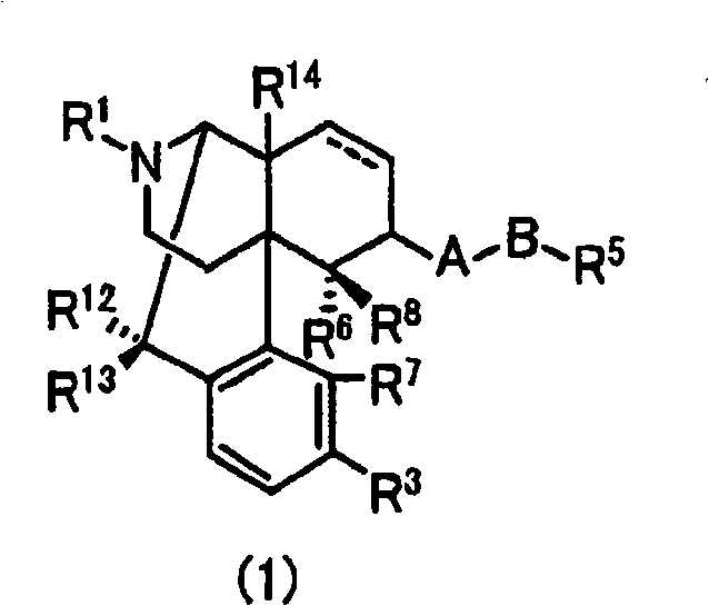 Remedy for relieving skin troubles comprising morphinan derivative or pharmacologically acceptable acid addition salt thereof as the active ingredient