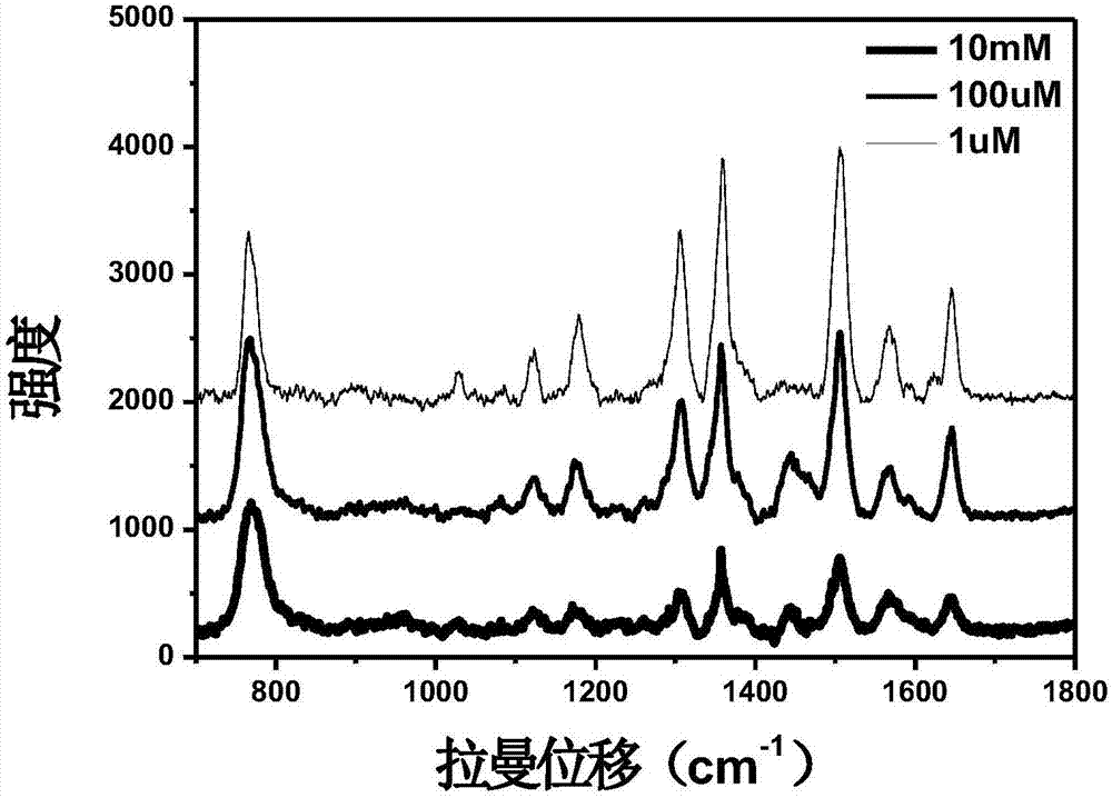 Surface enhance Raman spectroscopy (SERS) based acetylcholine detection method