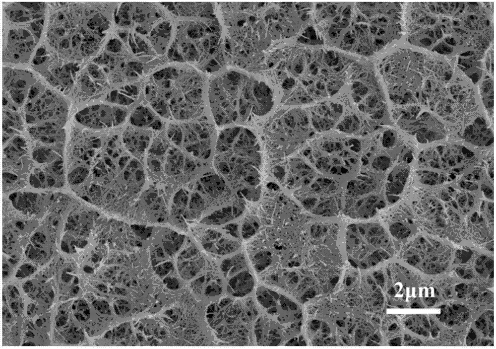 Preparation method for tungsten trioxide nanowire electrochromic film