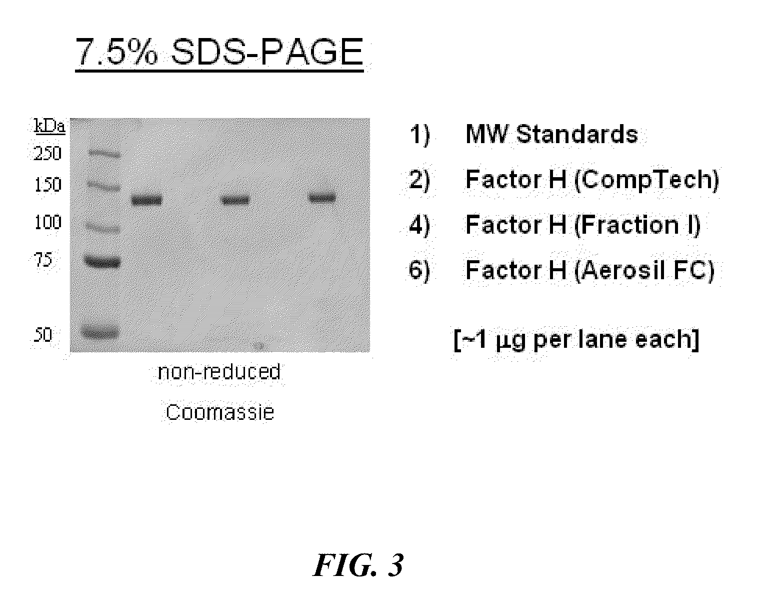 Manufacture of factor h (FH) and FH-derivatives from plasma