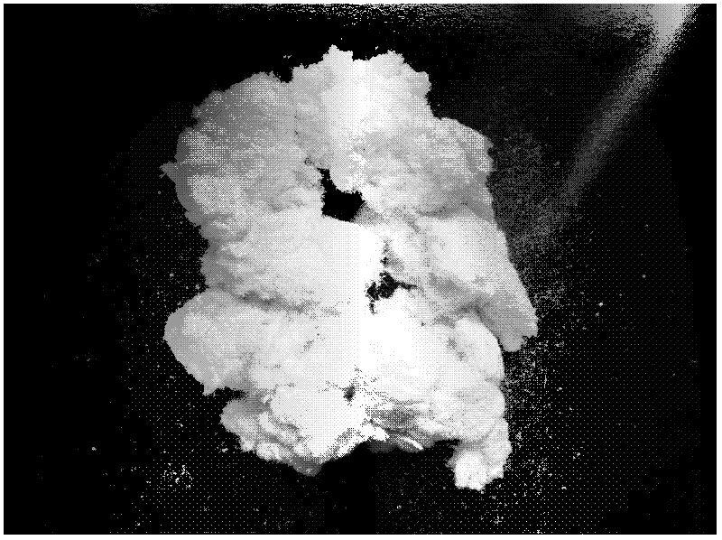 A kind of ecological composite material and preparation method thereof