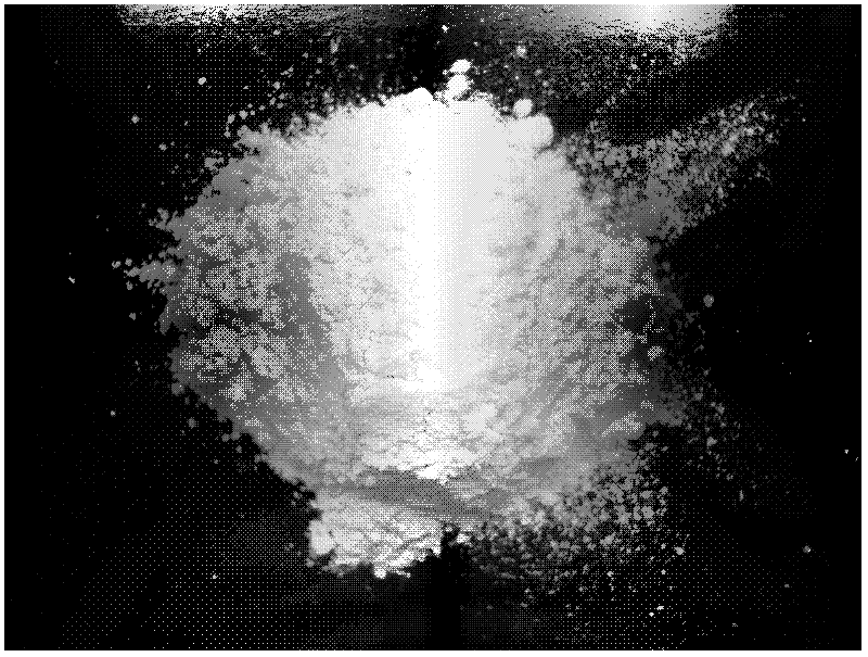 A kind of ecological composite material and preparation method thereof