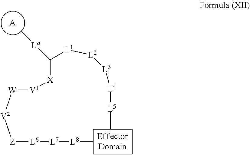 Rapafucin derivative compounds and methods of use thereof