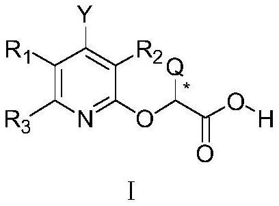 Weeding composition containing R-type pyridyloxycarboxylic acid derivative and synthetic hormone inhibitor and application thereof