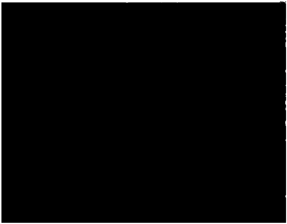 Lens radial distortion correction method