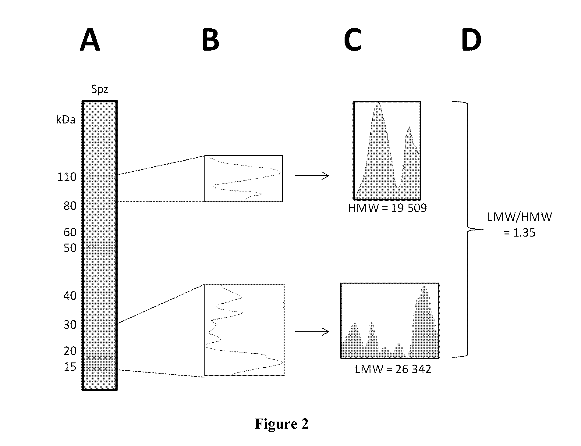 Methods for determining human sperm quality