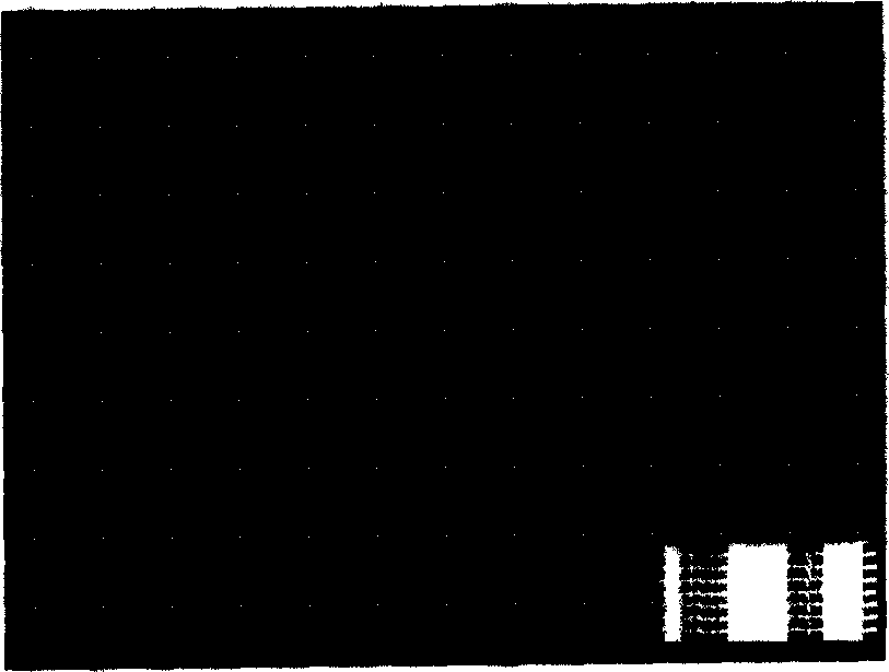 Artificial bone biotic producing process based on quick forming and steoro weaving