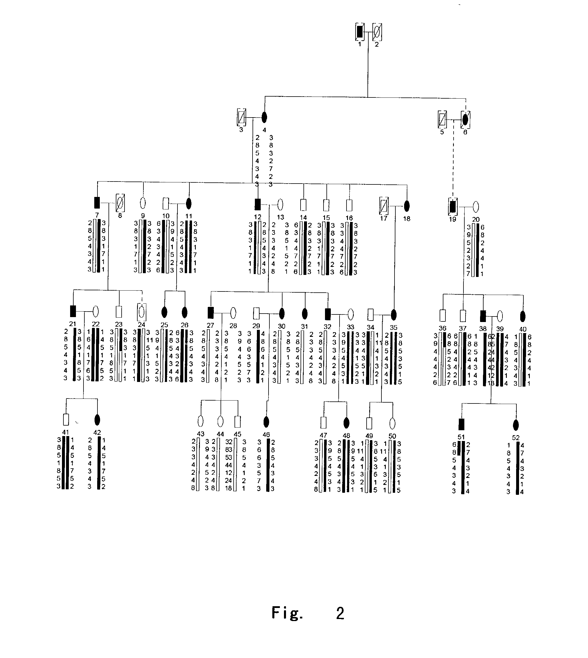 Method for diagnosing and treating dentinogenesis imperfecta type II by using dentin sialophsphoprotein (dspp)gene and its encoding product