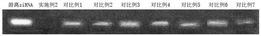 Preparation method of nanoparticle composition delivery system