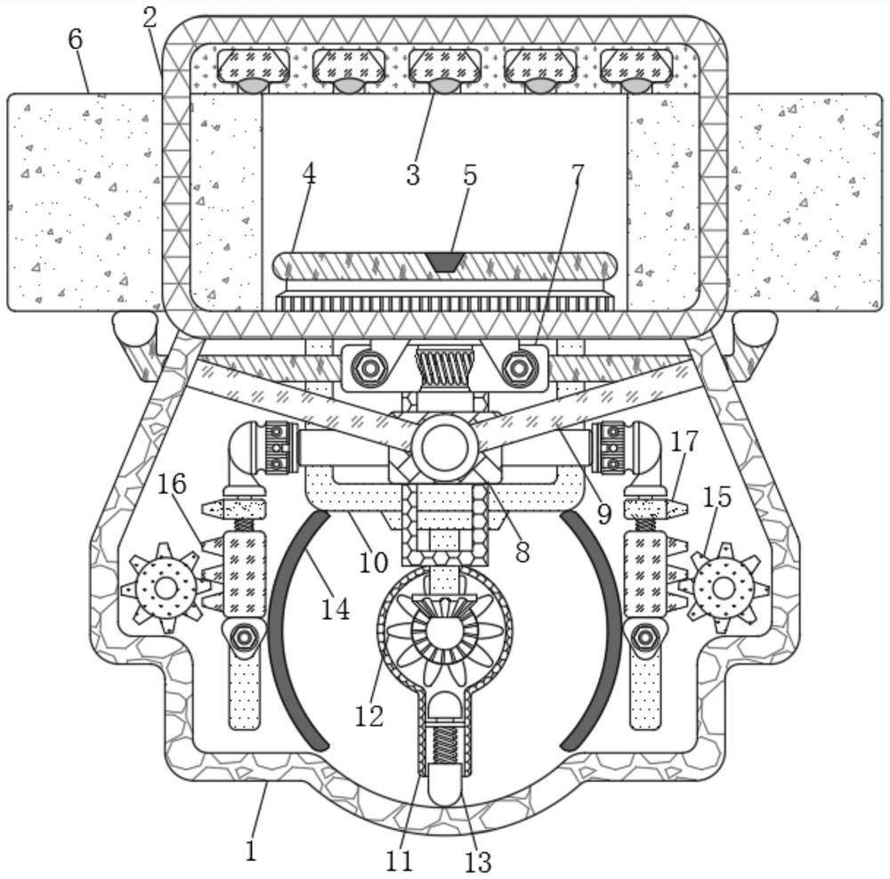 Multi-angle teaching exhibition mechanism for biological sample exhibition