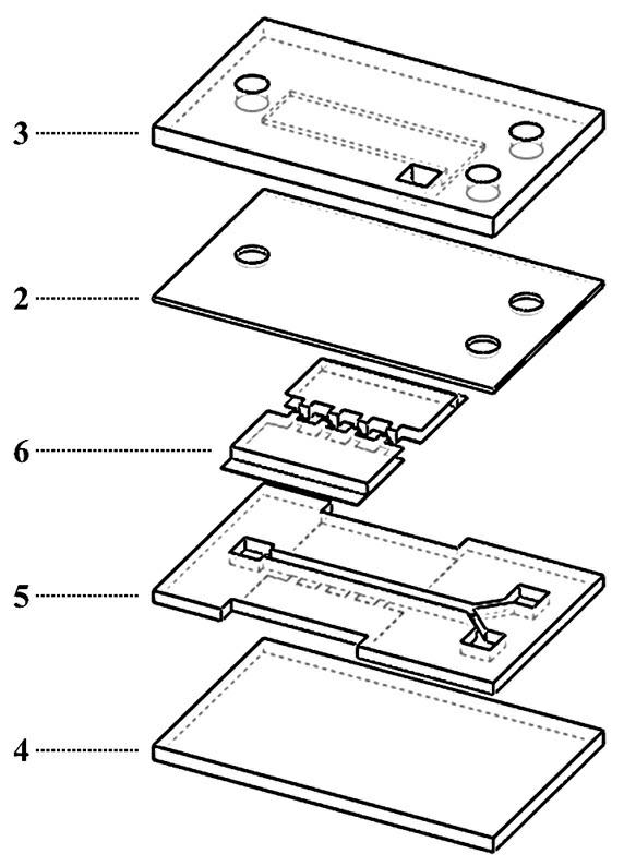 Cell electrofusion chip device based on surface microelectrode array and deformation membrane structure