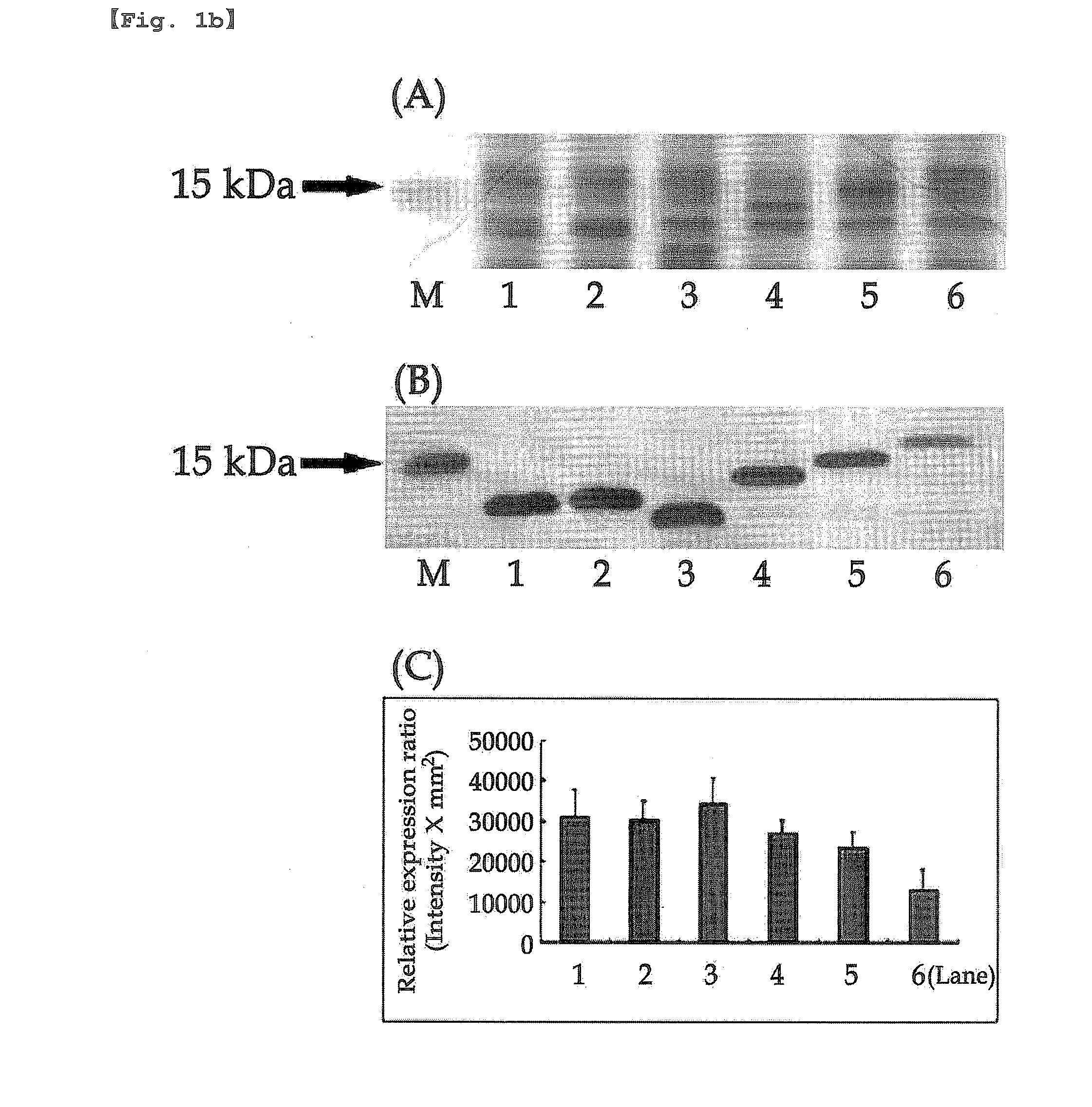 Production of soluble recombinant protein by pi value control of n-terminal