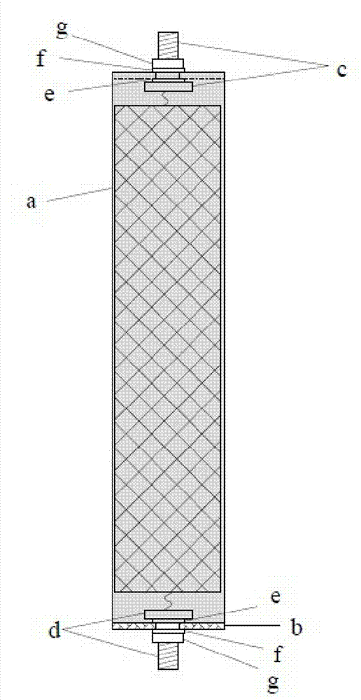 Lithium iron phosphate plastic housing cylindrical battery and preparation method thereof