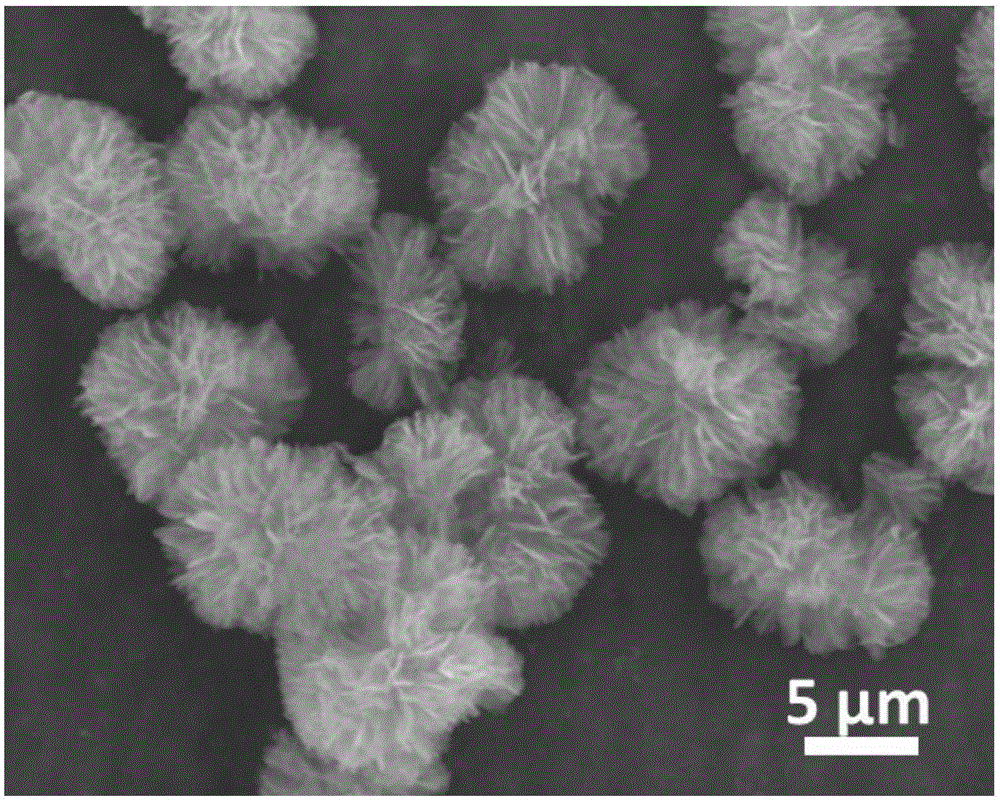 Three-dimensional graded carbon-clad NaTi&lt;2&gt;(PO&lt;4&gt;)&lt;3&gt;/C micrometer flower electrode material and preparation method and application thereof