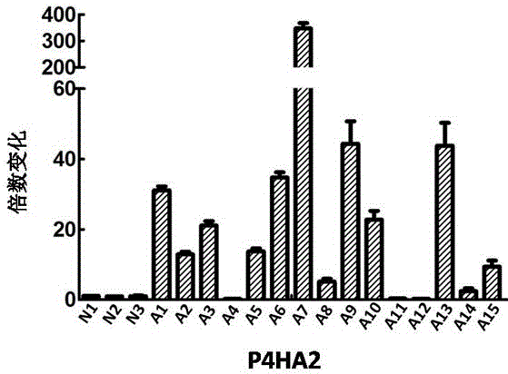 Detection marker and kit for B lymphoma and leukemia and application of detection marker and kit