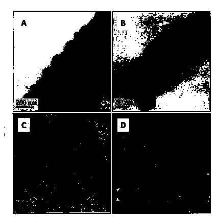 Carbon-wrapped polyhedron silver nano-particle and controllable self-assembly preparation method thereof